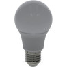 Ampoule LED UNIVERSEL KRSBA608E27