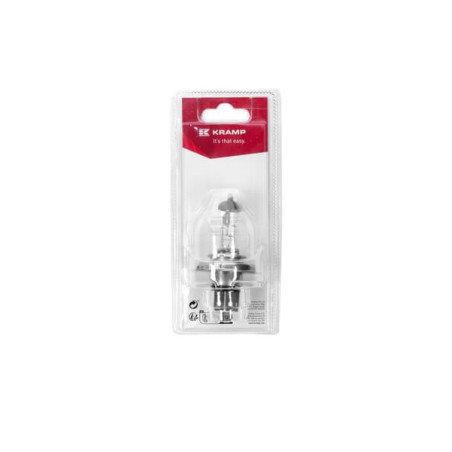 Ampoule UNIVERSEL KR417595P01B