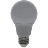 Ampoule LED UNIVERSEL KRSBA6049E27