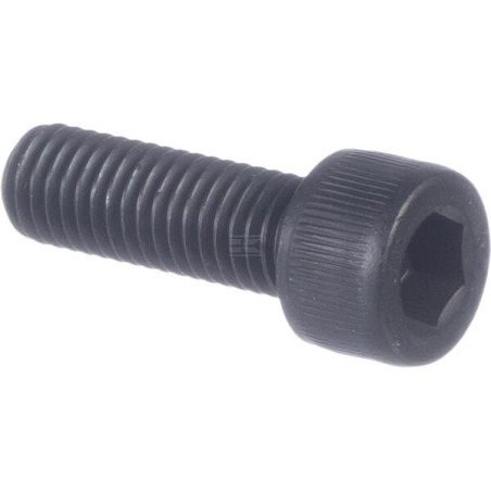 Vis KVERNELAND KG00595900