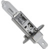 Ampoule UNIVERSEL KRGL1203P01B