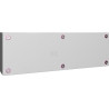Boîtier RITTAL KX1506000