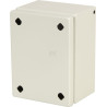 Boîtier RITTAL KX1529000