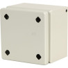 Boîtier RITTAL KX1500000