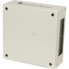 Boîtier RITTAL KX1535000