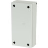 Boîtier RITTAL KX1515000