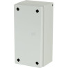 Boîtier RITTAL KX1501000
