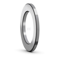 Disque SKF LS75100SKF