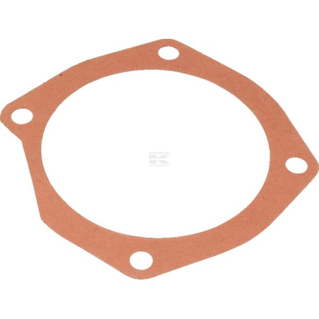 Joint MASCHIO M10100125R