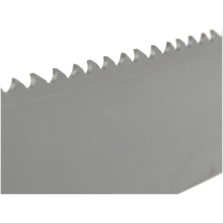 Scie à ruban BAHCO LZ30252709EZL