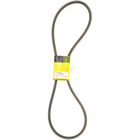 Courroie JOHN DEERE M143019