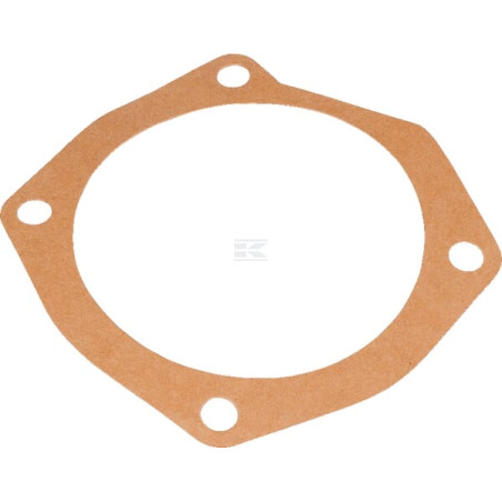 Joint MASCHIO M10100164R