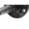 Support MASCHIO M38100301R