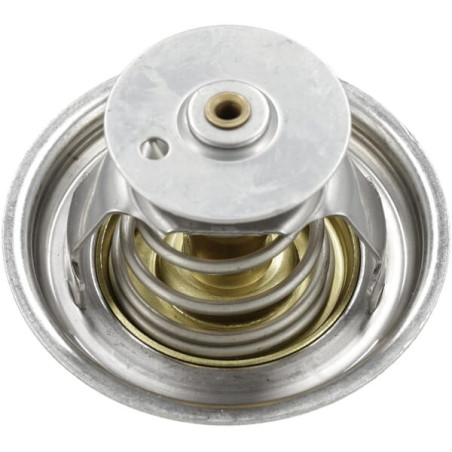 Thermostat MANITOU MA604553