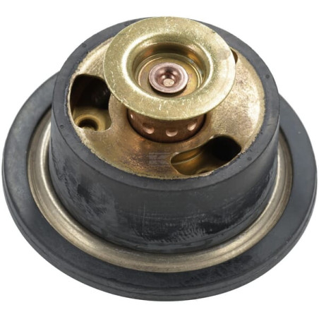 Thermostat MANITOU MA52726168