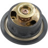 Thermostat MANITOU MA52726168