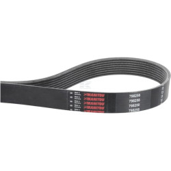 Courroie MANITOU MA798258
