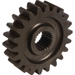 Pignon MASCHIO M74100118R