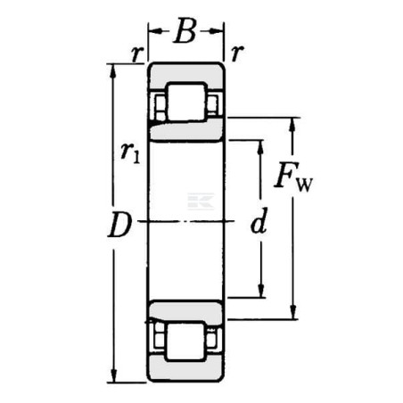 Roulement cylindriques SKF NJ216ECJC3