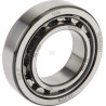 Roulement cylindriques SKF NU1006