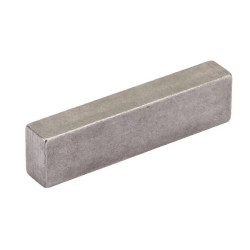 Cale VOGELSANG NPF011