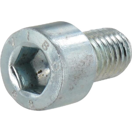 Vis VOGELSANG NSI017