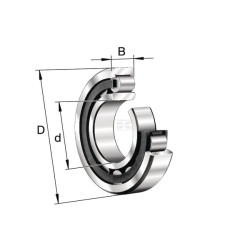 Roulement cylindriques INA/FAG NU2313EXLTVP2C3