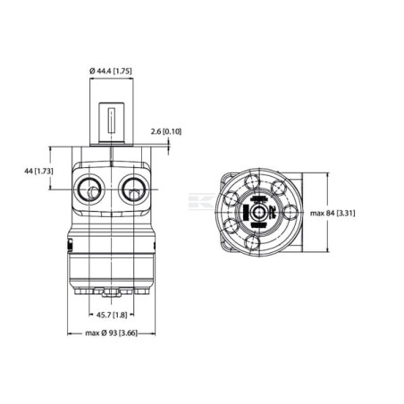 Moteur orbital WHITE OMPX20011186046