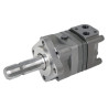 Moteur WHITE OMS160151F0563