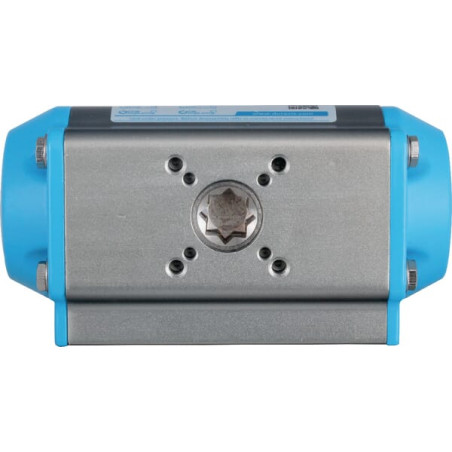 Actionneur DURAVIS PAR063X090SR
