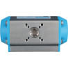 Actionneur DURAVIS PAR063X090DA