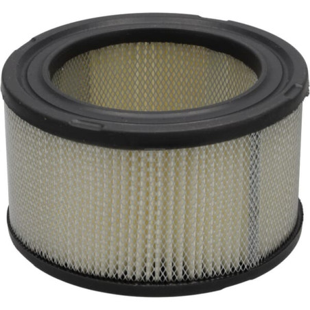 Filtre à air DONALDSON P607234