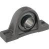 Corps de palier INA/FAG PASEY25NSSP