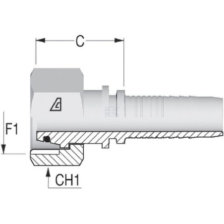Insert ALFAGOMMA PGLO2530