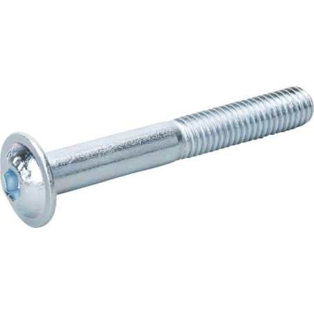 Vis UNIVERSEL ISO7380ULF860109