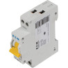 Disjoncteur EATON PLN6C251N