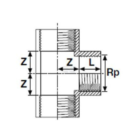 Raccord PIMTAS PP7020123