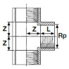 Raccord PIMTAS PP7025123