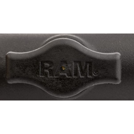 Support RAM RAMB166CPD4U