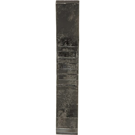 Dent MASCHIO R17623300R