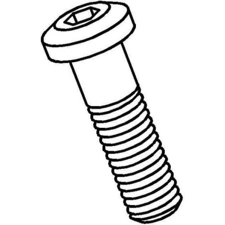 Vis I-TOOLS SPSCR15