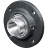 Palier INA/FAG RFE35