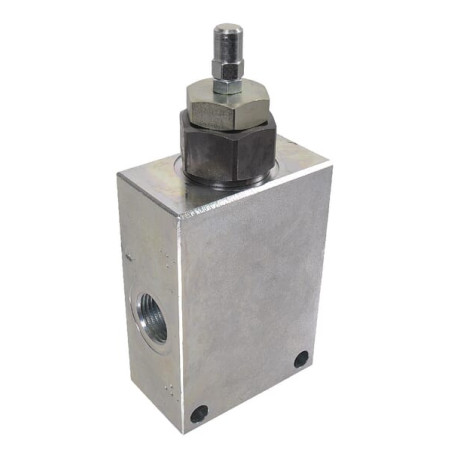 Clapet WALVOIL RP12002