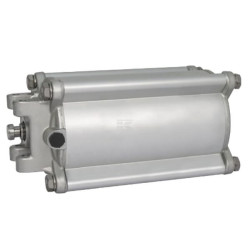 Vérin pneumatique RIV RIV164100