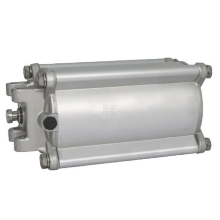 Vérin pneumatique RIV RIV164100