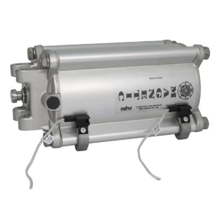 Vérin pneumatique RIV RIV165100