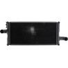 Radiateur UNIVERSEL RE69135N
