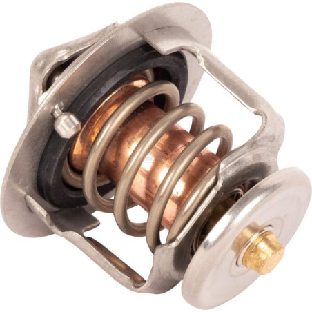 Thermostat CNH SBA145206220