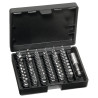Kit d'embouts WERA SC820089960Z
