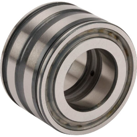 Roulement cylindriques INA/FAG SL045005PP